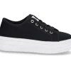 BLACK 1504